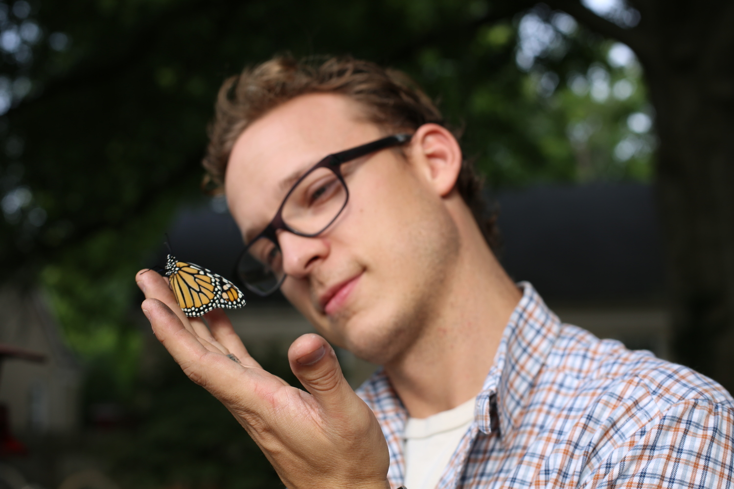 Ben Sollee