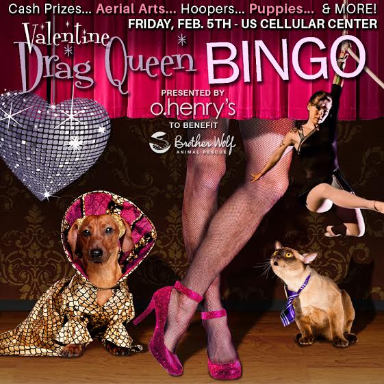 Drag Queen Bingo 