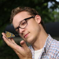 Ben Sollee