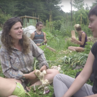 Natalie Bogwalker of Wild Abundance and the Firefly Gathering