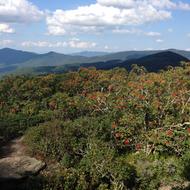 Craggy Pinnacle