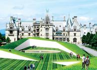 Biltmore Lawn