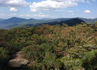 Craggy Pinnacle